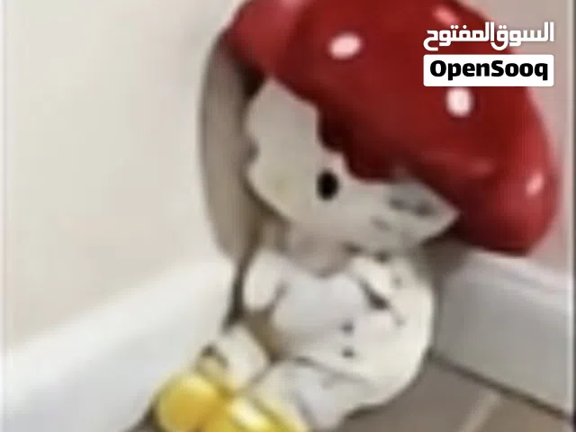 مبدل باك ليزر مش فك وشاشه موثقه تغيير شركه ابل