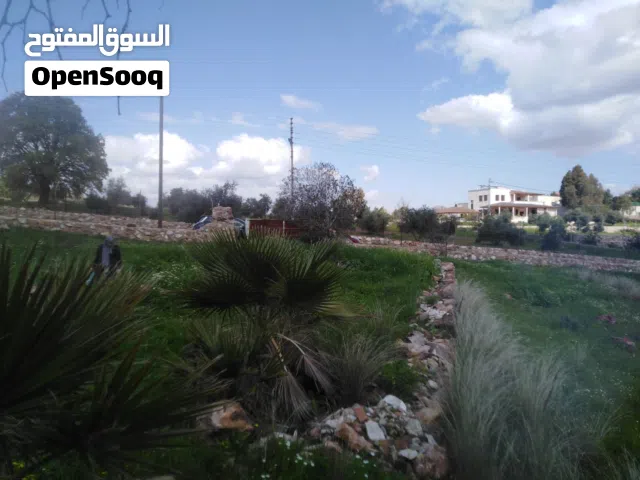 Farm Land for Sale in Salt Al Subeihi