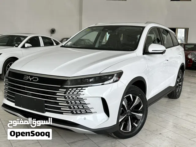 2025 BYD Other