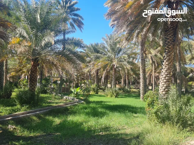 Studio Chalet for Rent in Al Dakhiliya Nizwa