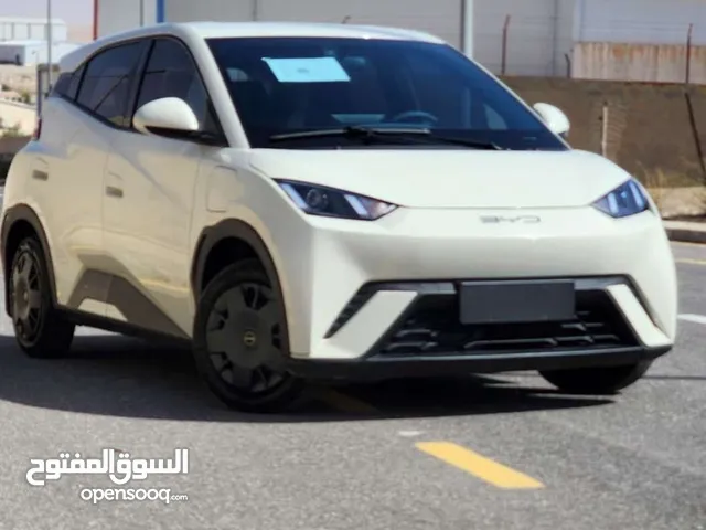 سيجال 2023 لون ابيض حرق حرق بحال الزيرو30 الالف كيلو