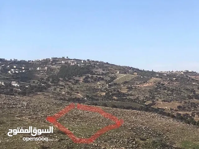 Mixed Use Land for Sale in Salt Al Saro