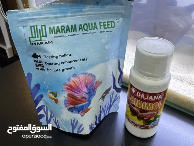 حوض سمك واحتياجاته