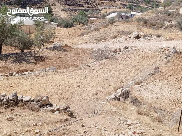 ارض مناسبة للبناء او الاستثمار او الزراعه
