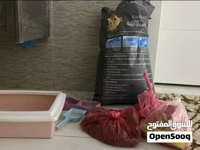 منتجات وادوات للقطط