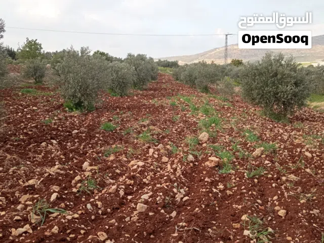 أرض للبيع مساحة 2500 متر مربع