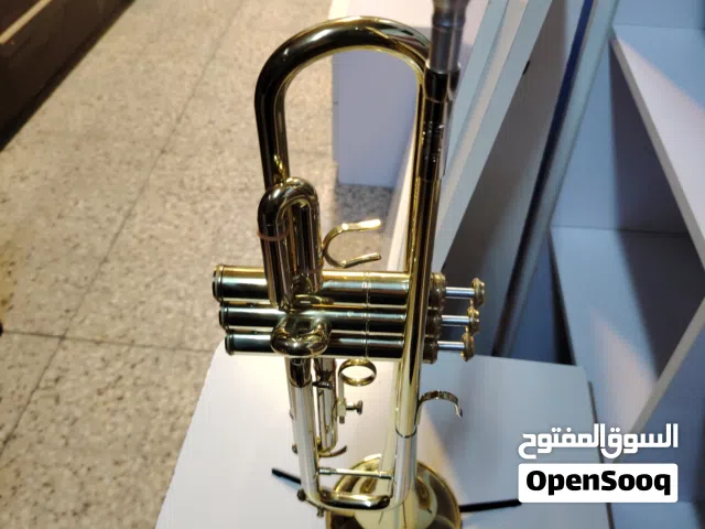 الاله موسيقيه نوع تشيك