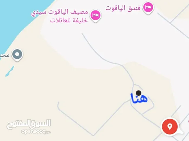 أراضي للبيع.سيدى خليفة.لكويفية..لفعكات.
