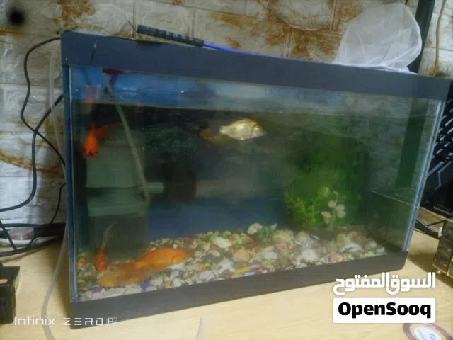 حوض سمك للبيع