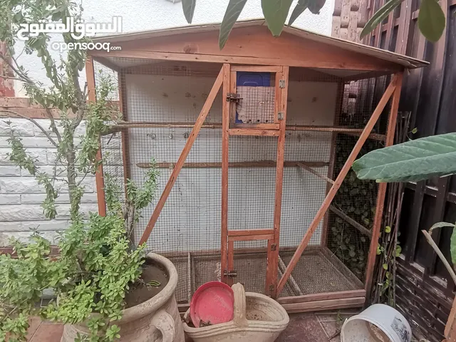 قفص عصافير للبيع