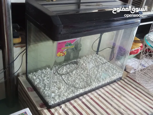 للبيع حوض أسماك ، مع الحجر وليت الإضاءة الداخلية ، ب190 درهم