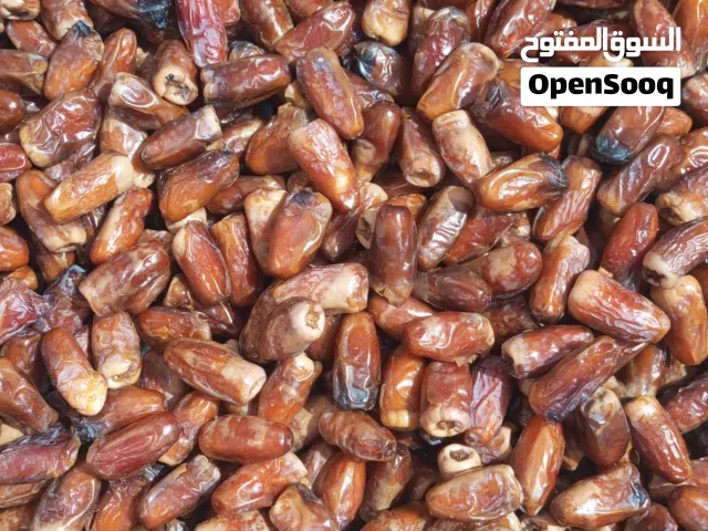 تمر نغال لهذا العام 2026م