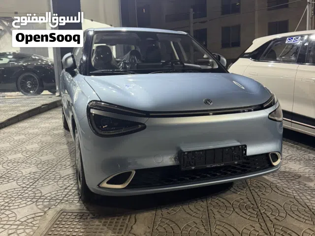 2025 دونج فينج نامي بوكس