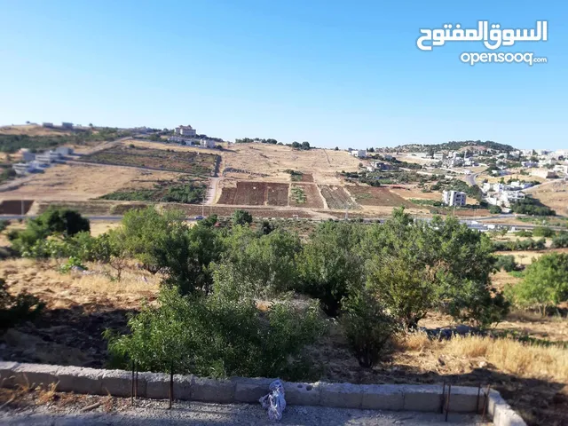 3 Bedrooms Farms for Sale in Ajloun Other