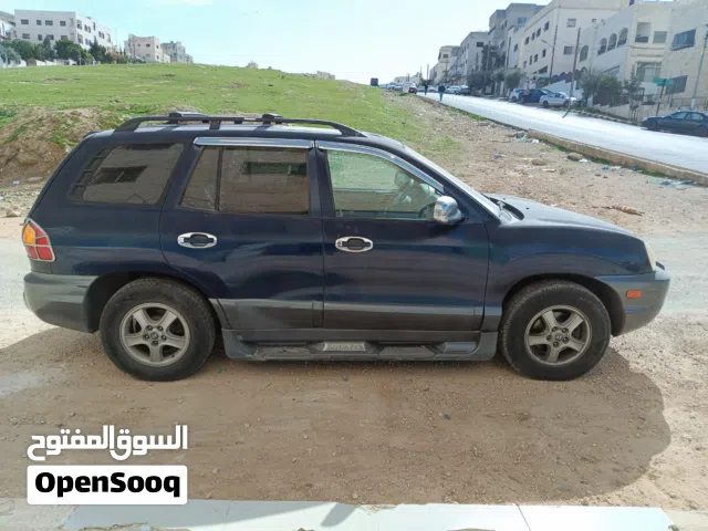 2004, هيونداي, سنتافي, Blue