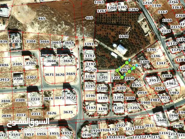 Residential Land for Sale in Amman Shafa Badran