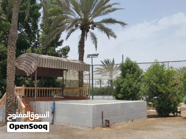 مزرعة للبيع في ولاية السويق