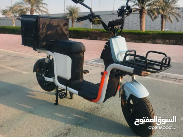 Electric Food delivery -ebike
