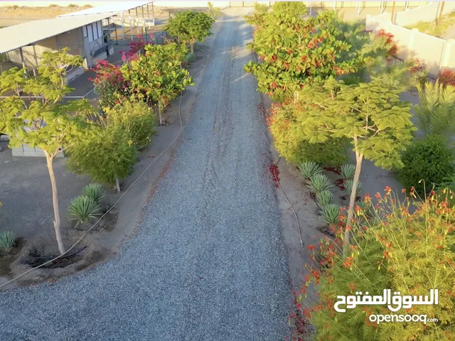 مزرعة نموذجية للبيع مع مبنى سكني جديد