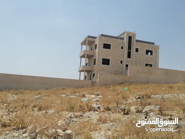 عين الباشا الحنو