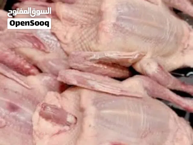 حمام زاجل و لاحم حجم چامبو ذبح يومي مع التنظيف و بيض دجاج بلدي انتاج اليوم