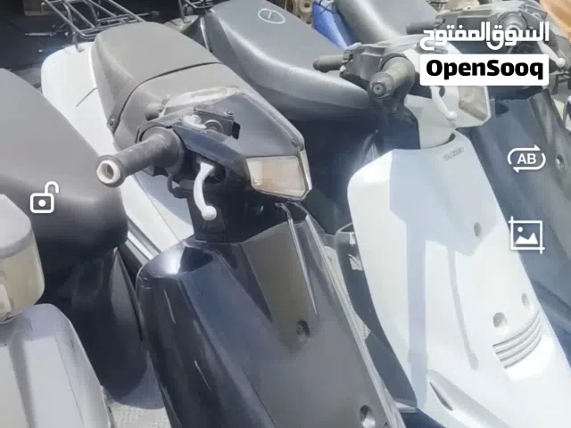 2013 Suzuki Other