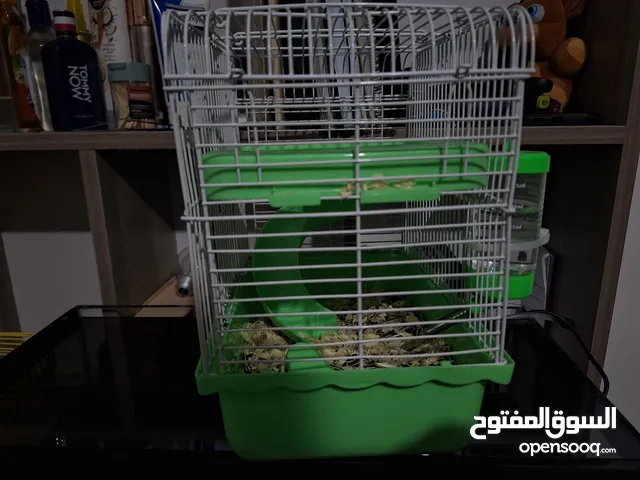 قفص هامستر صغير مناسب للبيع