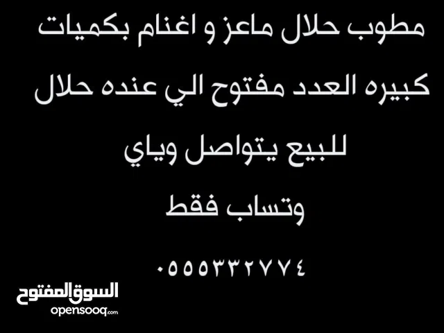 want goats and sheep