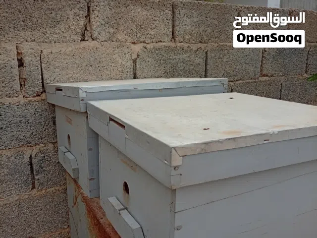 صندوق نحل بي البرويز