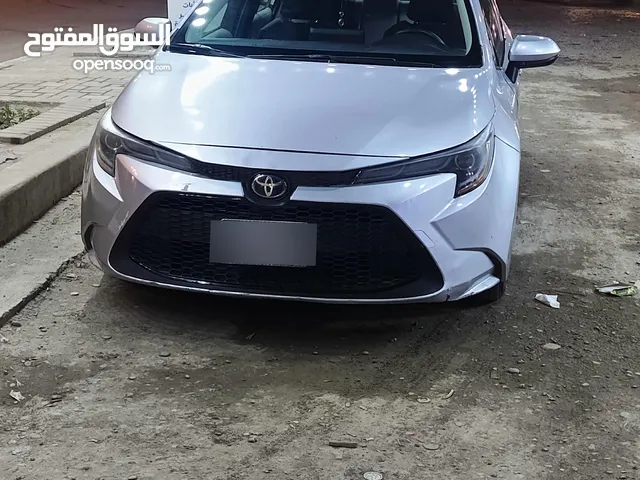 New Toyota Corolla in Baghdad