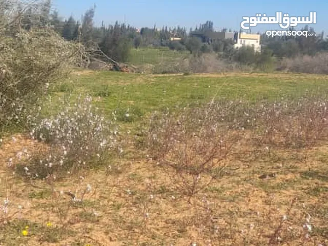 Farm Land for Sale in Tripoli Qasr Bin Ghashir