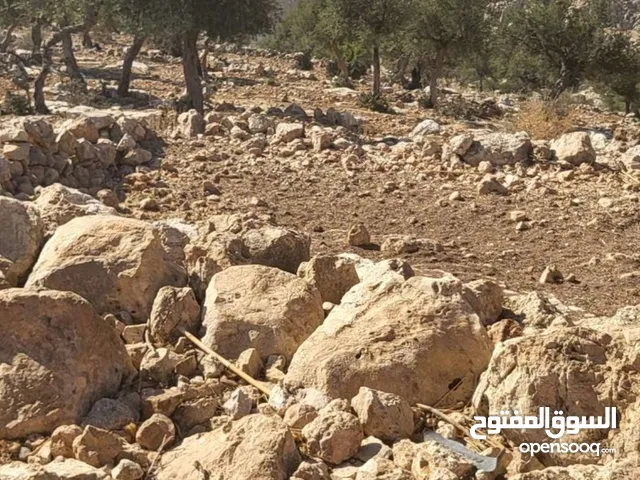 Mixed Use Land for Sale in Ajloun Other
