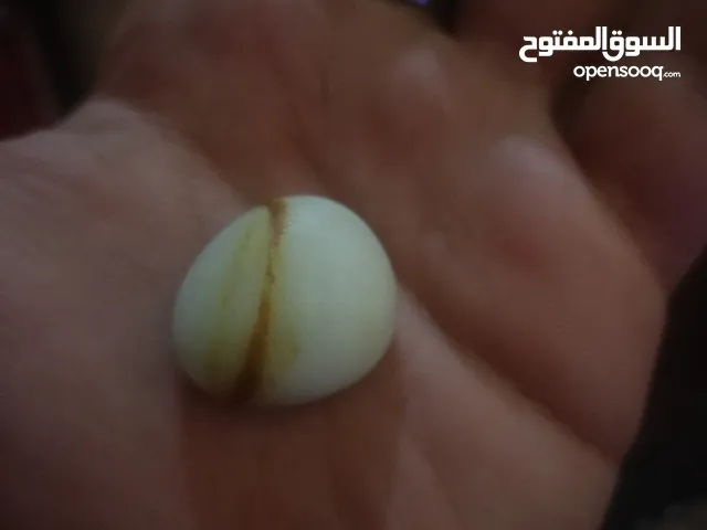 احجار كريمه  نادره