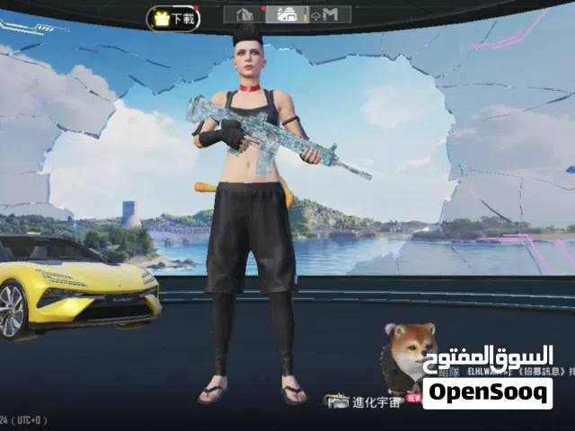 Pubg Accounts and Characters for Sale in Irbid