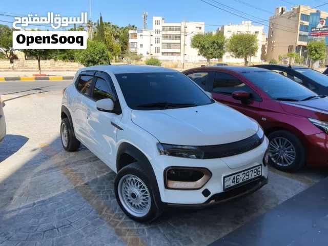 2022 Dongfeng EX1