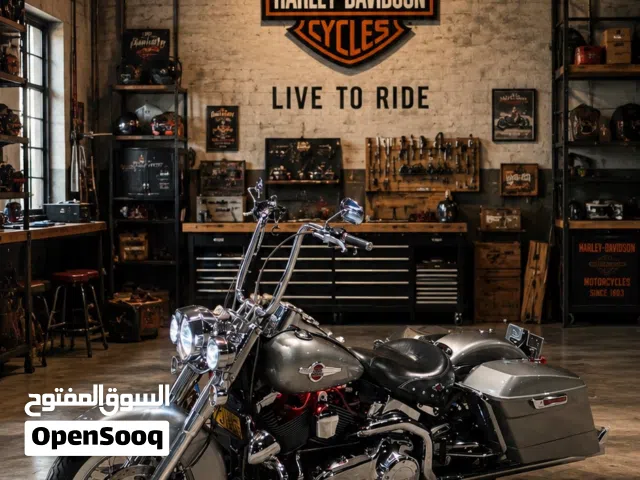 2016 هارلي ديفيدسون Heritage Classic