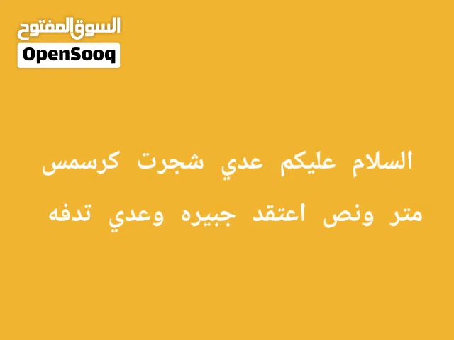 شجره كريسماس وتدفه شجره كريسماس جبيره وتدفه نضيفه مابيهه شي