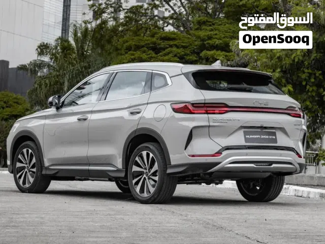 2025 بي واي دي اتو 3