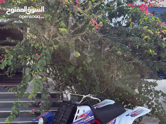 للبيع بانشي 2010