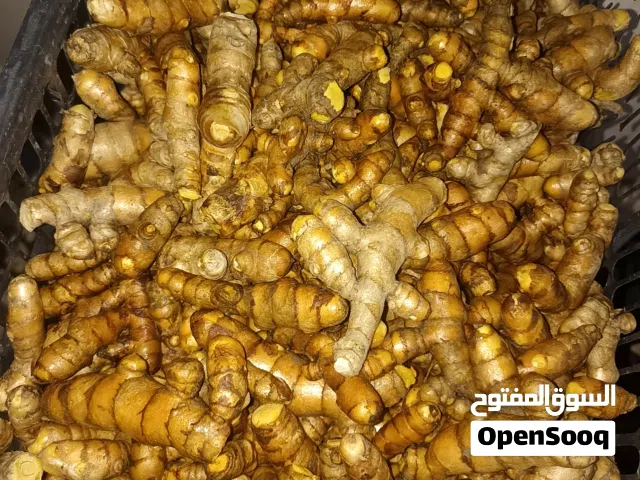 كركم طازج عضوي تم استخدام اسمدة عضويه