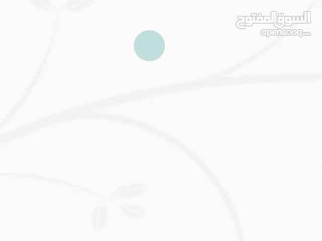 ايفون11عادي