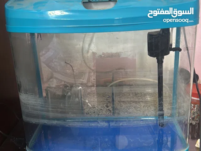 حوض سمك للزينة