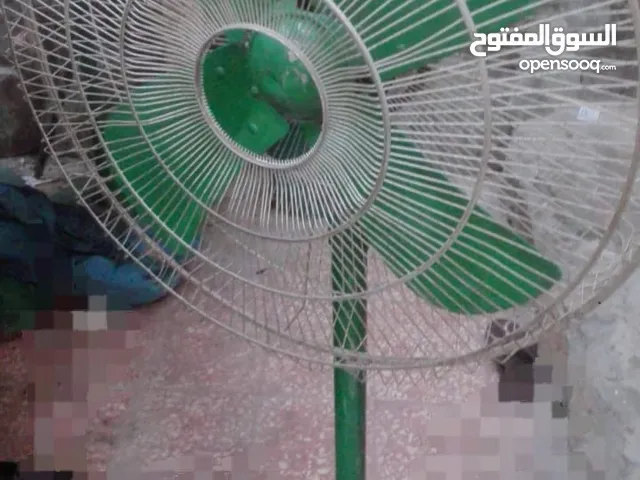 Rent a fan for gatherings مروحة عادية للإيجار