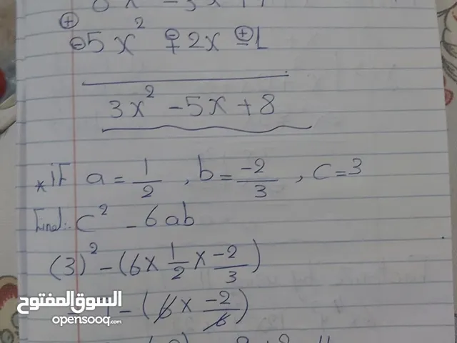 Experienced mathematics teacher