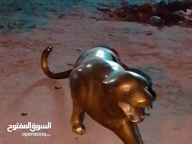 للبيع قطع فنيه بأسعار جيد