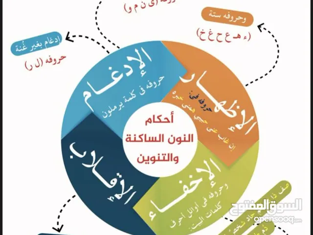 معلمة قرآن كريم بالتجويد للاطفال والنساء خريجة الازهر الشريف