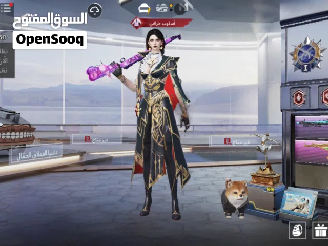 حساب ببجي للبيع