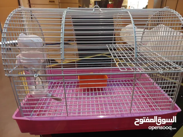 قفص هامستر
