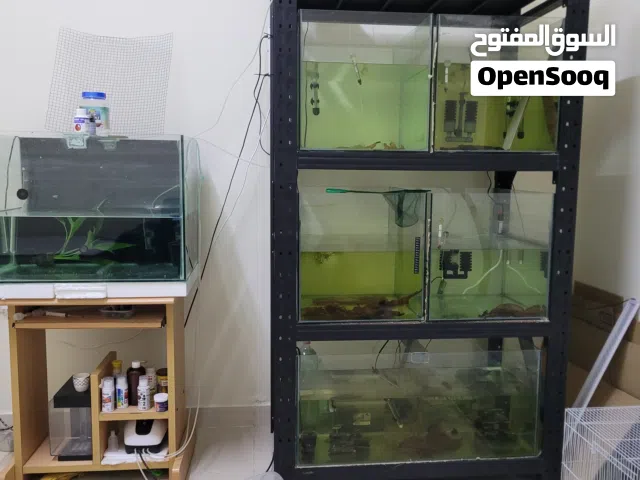 6 احواض سمك مع الوقافه فاخره و ضخما احجام كبيرة، مع كول حوض، يجي فيلتر، سخان،