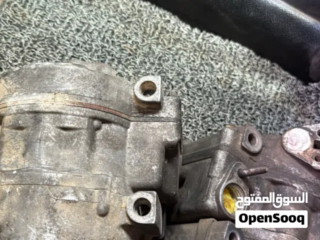 كمبراسوريات عاديات